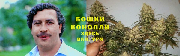 альфа пвп Инта