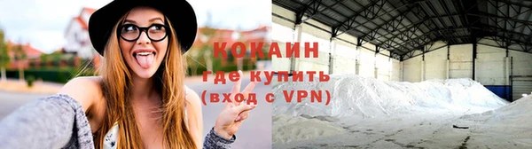 ешки Каменногорск