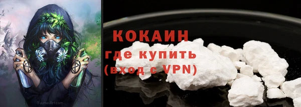 ешки Каменногорск