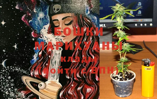 стафф Каменка