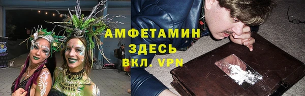 стафф Каменка