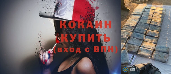 стафф Каменка